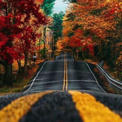 星空体育app截图