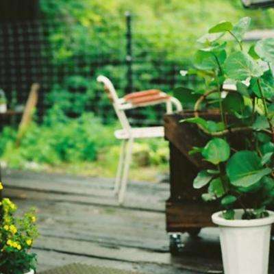 bet体育365官网正规