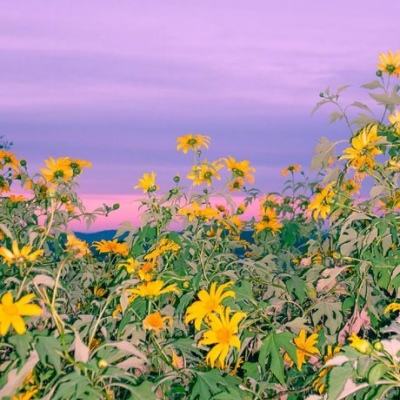 万博下载地址苹果版