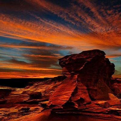 星空体育安卓app下载