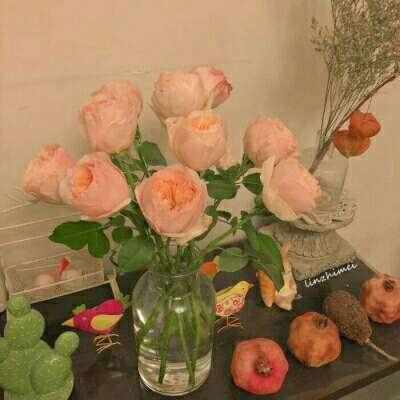 ayx爱游戏全站下载手机版