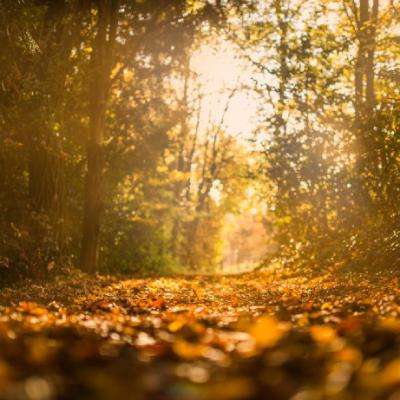 一分钟pk10赛车App