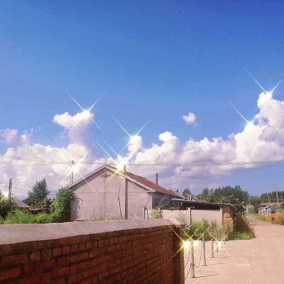 完美365体育ios下载