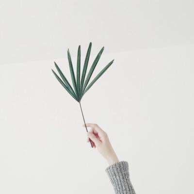 金年会体育下载app