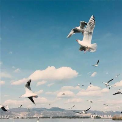 云开平台APP官方全站APP入口