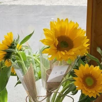 乐宝体育官网登录入口app下载