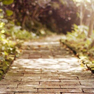 米乐网下载手机版